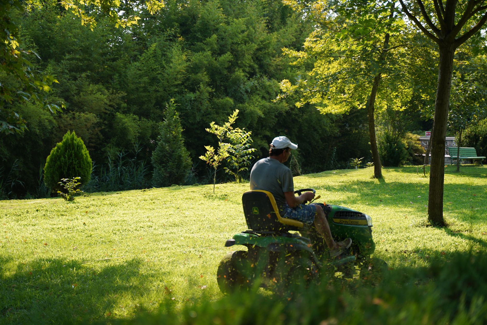 Weed Control – Killeen
