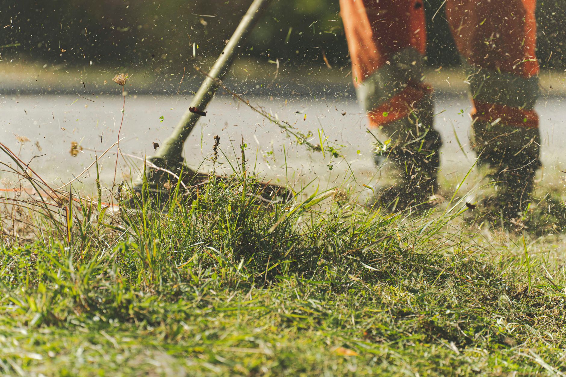 Aeration & Overseeding – Killeen